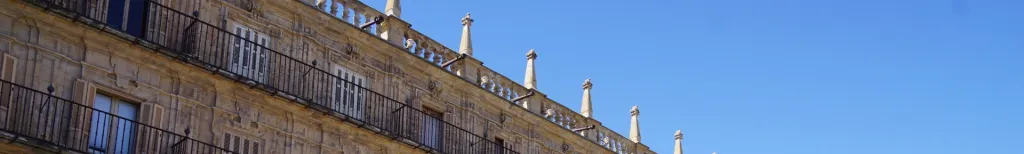 Busca pareja y encuentra una nueva relación